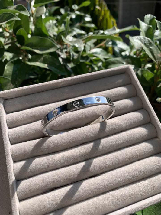 S.steel Silver Bracelet